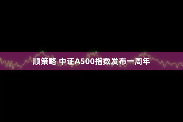 顺策略 中证A500指数发布一周年