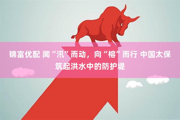 锦富优配 闻“汛”而动，向“榕”而行 中国太保筑起洪水中的防护堤
